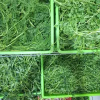 پخش سبزی پاک شده  عمده ای