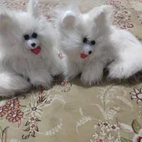 عروسک گربه