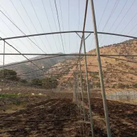 فروش-سازه-گلخانه