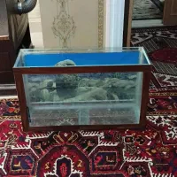 یک عدد آکواریوم