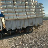 خریدار کاه گندم دیم انباری ۱ ملیون