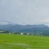 طبیعت