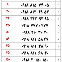 091810000000 رند و طلایی ( دائمی و اعتباری)