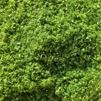 قرمه سبزی خوش عطربو