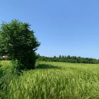 ۵۶۰ متر زمین داخل طرح هادی