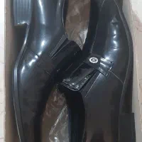 یک جفت کفش مجلسی