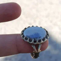 انگشتر شجر تک درخت قائنات اصلی دارای فاکتــور