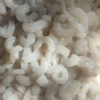 میگو سرتیز جنگل