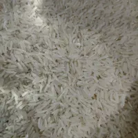 برنج فجر
