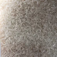 برنج محلی گیلان خوش پخت و معطر