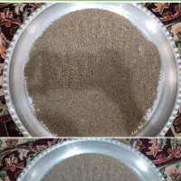 ۴گونی عدس دیم پاک ریزه