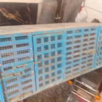 قفس  جفت کن کبوتروغیره