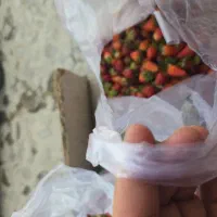 توت فرنگی مربایی و شهد و مارمالاد