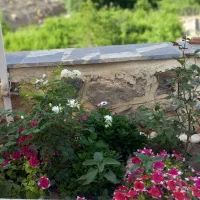 فروش زمین