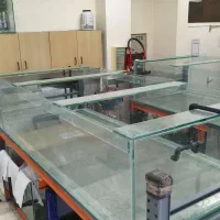 آکواریوم بزرگ ماهی