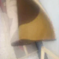 فروش دو تخته گلیم فرش