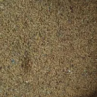 بذر یونجه شاهی همدانی