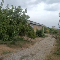 باغ ویلا فروشی