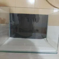 آکواریوم