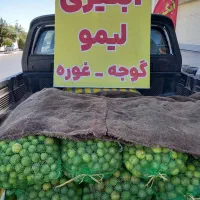 لیمو ترش همراه با آبگیری رایگان با دستگاه پرس