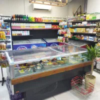 فریزر خوابیده عرض2*1