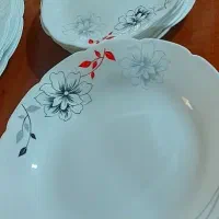 ظروف غذاخوری