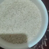 برنج چمپای محلی