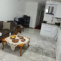 دو عدد 9متری قالی