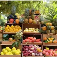 کارهای ساده در ترکیه با بالاترین حقوق