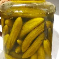 ترشی|خوردنی و آشامیدنی|خورموج, |دیوار