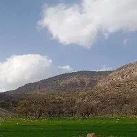 نقدینگی