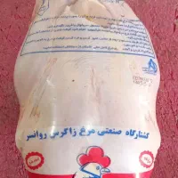 مرغکار