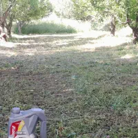 علف زنی  ساعت کاری ۶ تا ۷