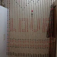 پرده مهره دار