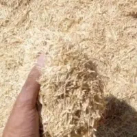 فروش کاه سفید درجه یک به قیمت مناسب
