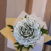 اسکناس ارایی