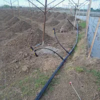 لوله کشی باغات کیوی