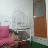 قفس