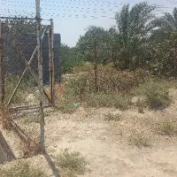 باغ ثمری جاده سیمان ۵۰۰متر