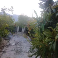 فروش منزل و رهن و اجاره