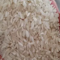 برنج  پاکستانی و سوپر پاکستانی