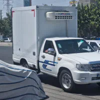 پادرا پلاس یخچالدار ۱۴۰۳