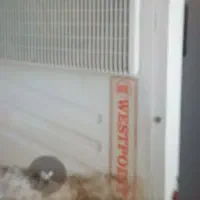 کولر گازی اسپلت وست پونت