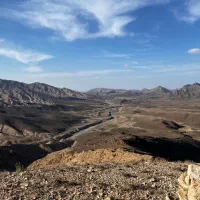 آویشن کوهی امسالی درجه یک