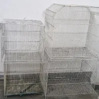 قفس پرنده