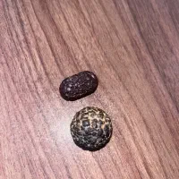 سنگ زیبا و‌ارزشمند