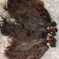 خریــدار اصلــی
