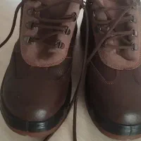 کفش ایمنی