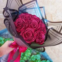 رز فول شاین جذاب