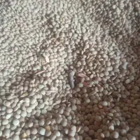 برنج خاطره 2700